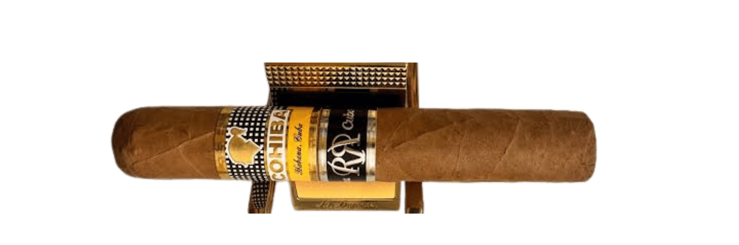 Robusto RR